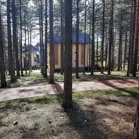 Zlatibor M Lägenhet Exteriör bild