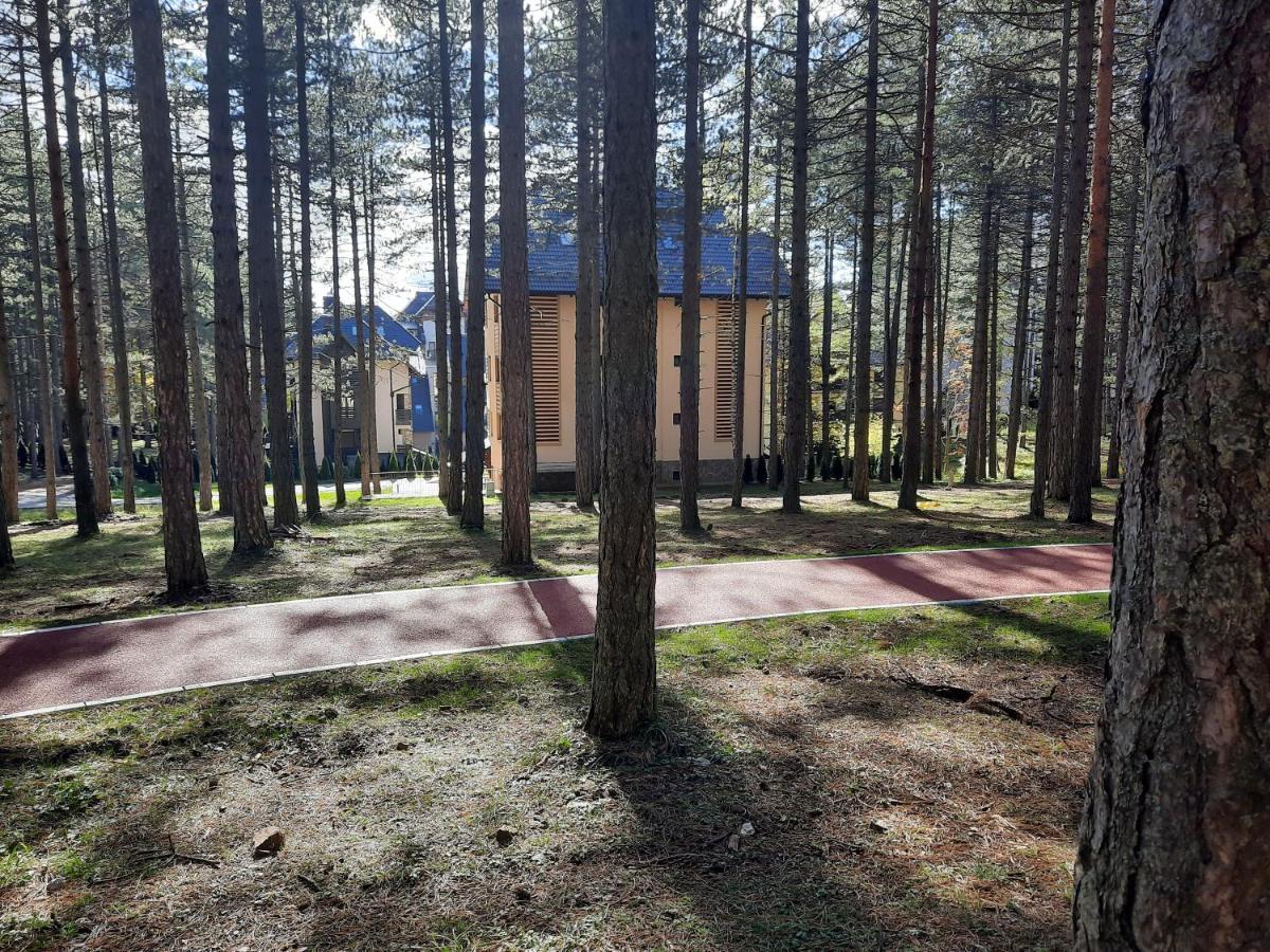 Zlatibor M Lägenhet Exteriör bild