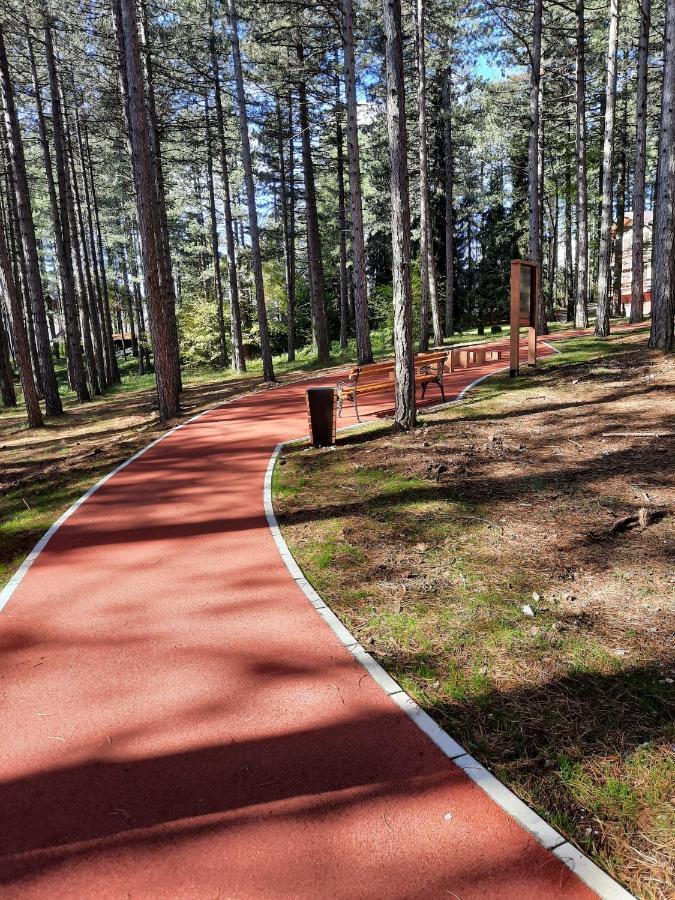 Zlatibor M Lägenhet Exteriör bild